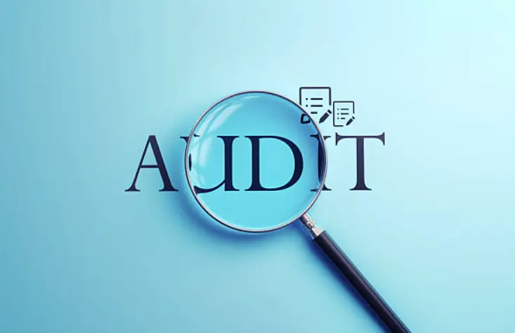The Importance of Insurance Audit Support Services for Risk Management