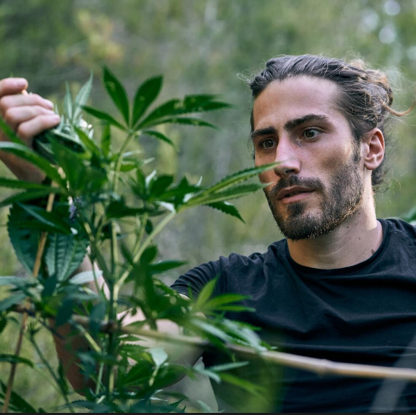 How Budtenders Guide Consumers Exploring Legal Cannabis in Omaha