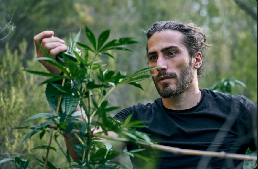 How Budtenders Guide Consumers Exploring Legal Cannabis in Omaha