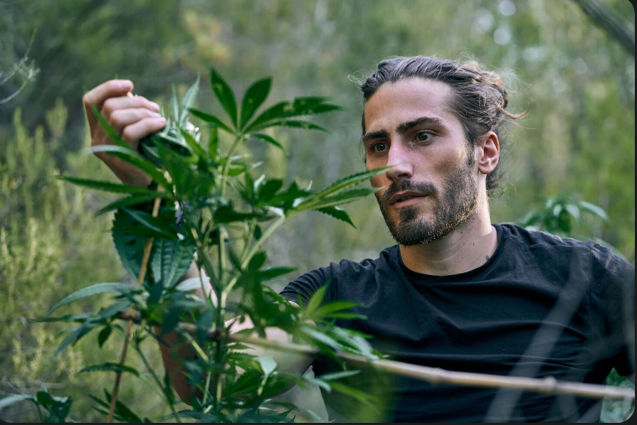 How Budtenders Guide Consumers Exploring Legal Cannabis in Omaha