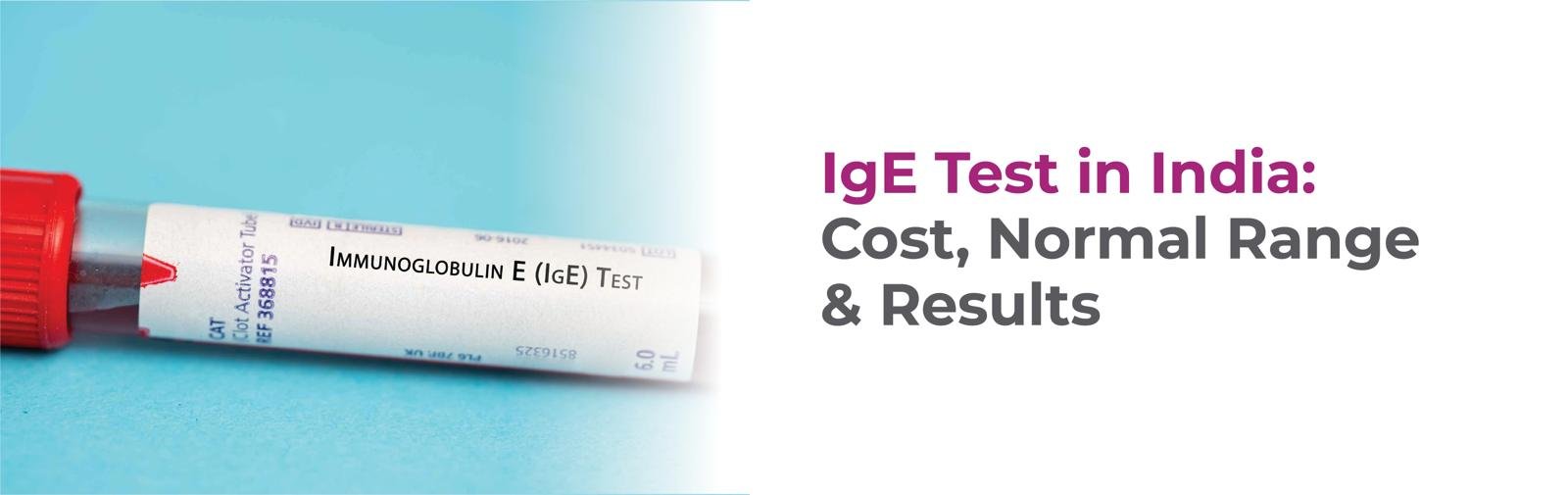 IgE Test in India: Cost, Normal Range & Results